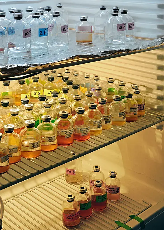 sample vials in a fridge