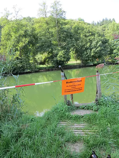 Starke Grünfärbung der Jagst und Absperrung mit Schild "Badeverbot"