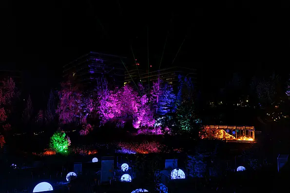 Botanische Lichter im Botanischen Garten der Universität Tübingen