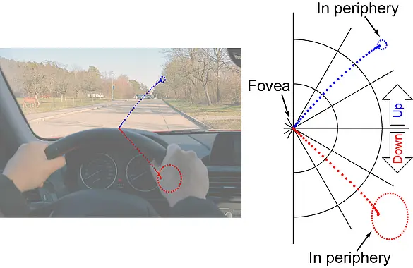 Description of visual perception outside a car windshield