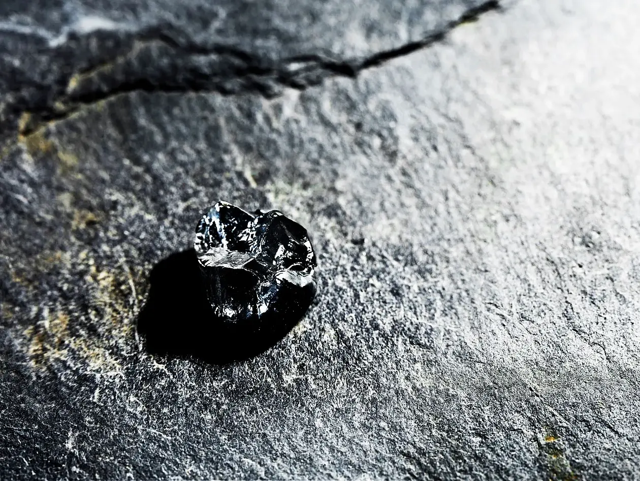 Der Originalzahn von Buronius ist nur 7,7 Millimeter groß und gibt dennoch tiefe Einblicke in seine Lebensweise vor rund 12 Millionen Jahren. 