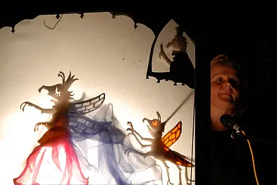 Shadow Performances during the Cultural Night