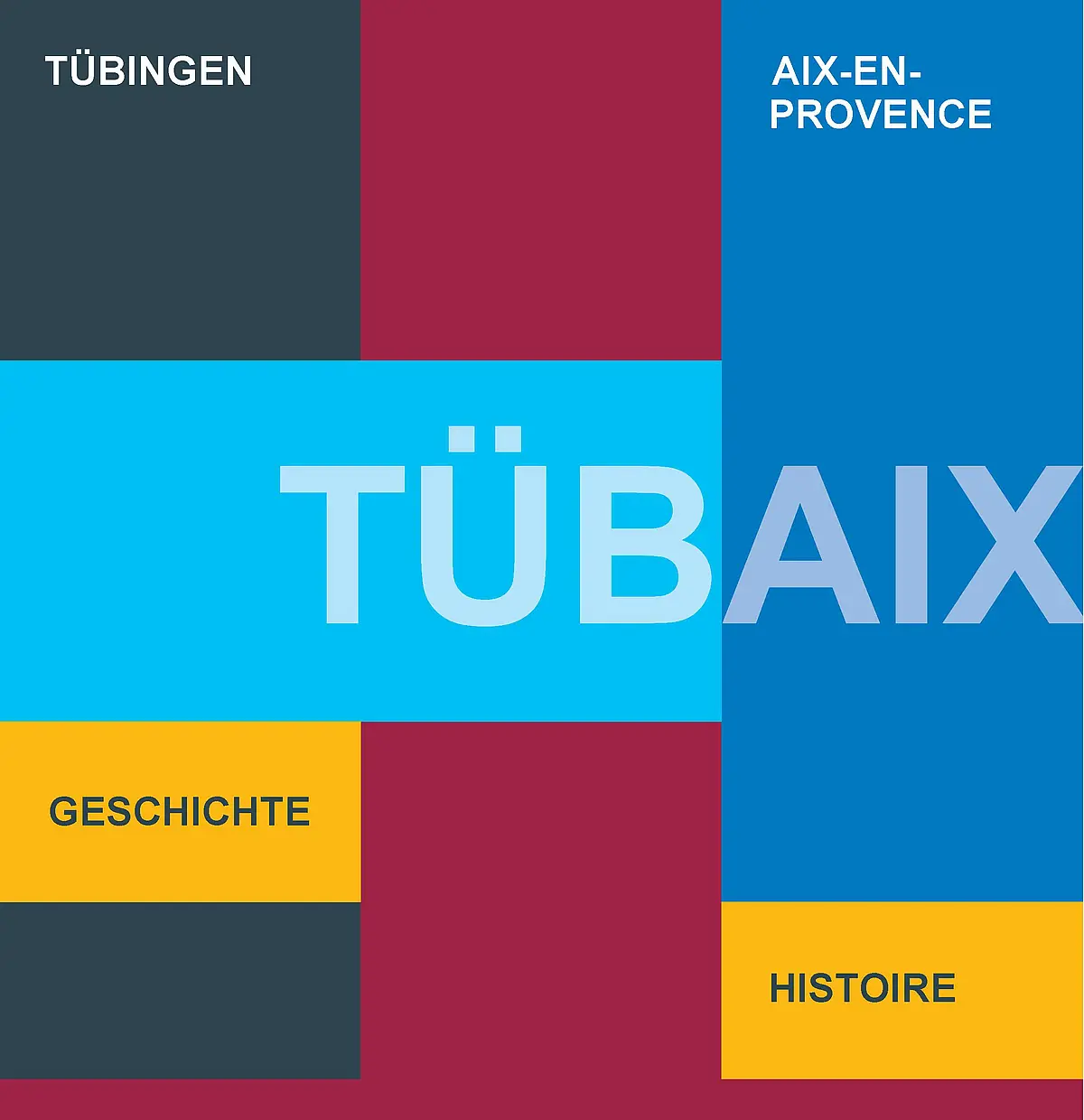 Logo TübAix