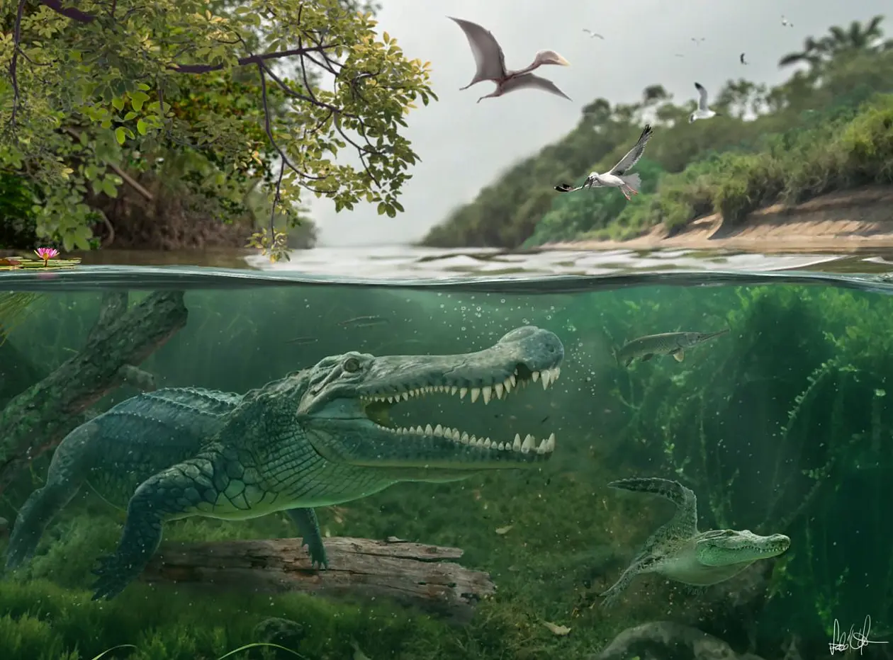 Late Cretaceous interaction in the southwestern coastal wetlands of the Western Interior Sea-way: Deinosuchus riograndensis to the left and an early alligatoroid to the right.