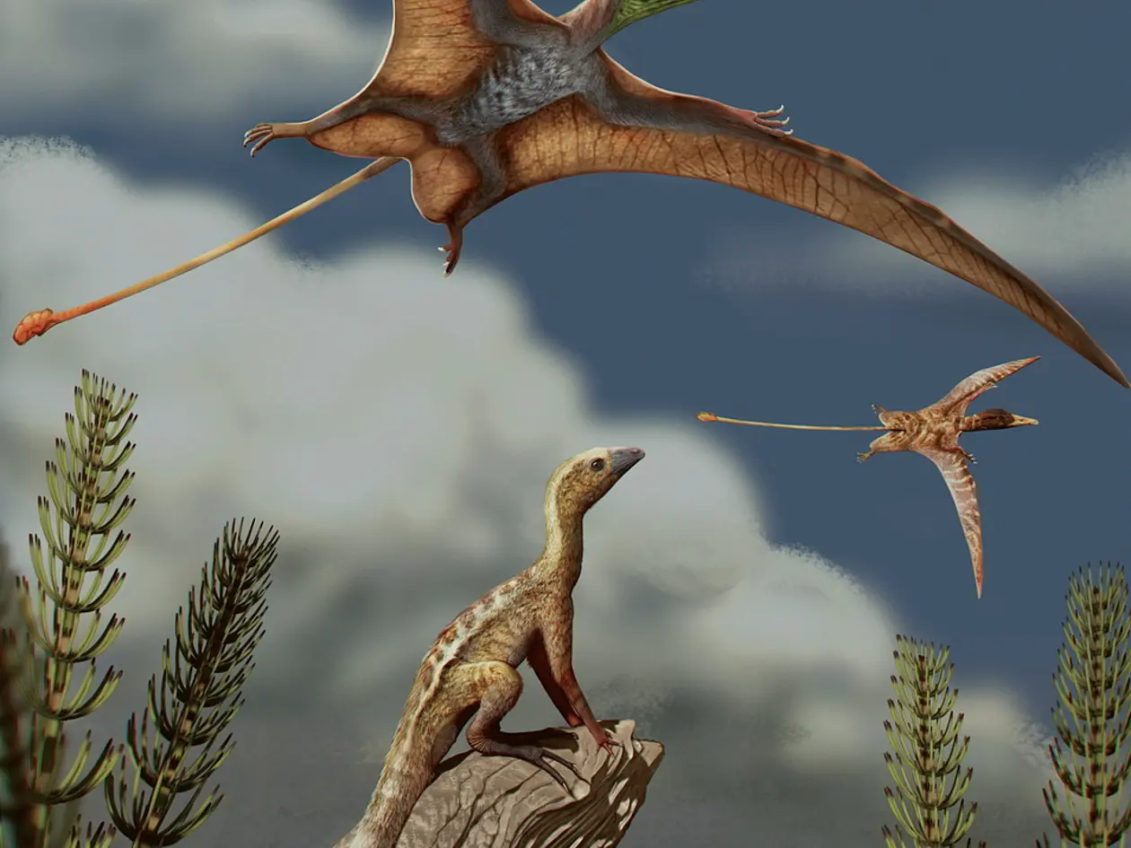 Rekonstruktion einer Landschaft der späten Trias vor ungefähr 215 Millionen Jahren: Ein Lagerpetid, ein naher Verwandter der Flugsaurier, sitzt auf einem Felsen und beobachtet die über ihm fliegenden Flugsaurier.