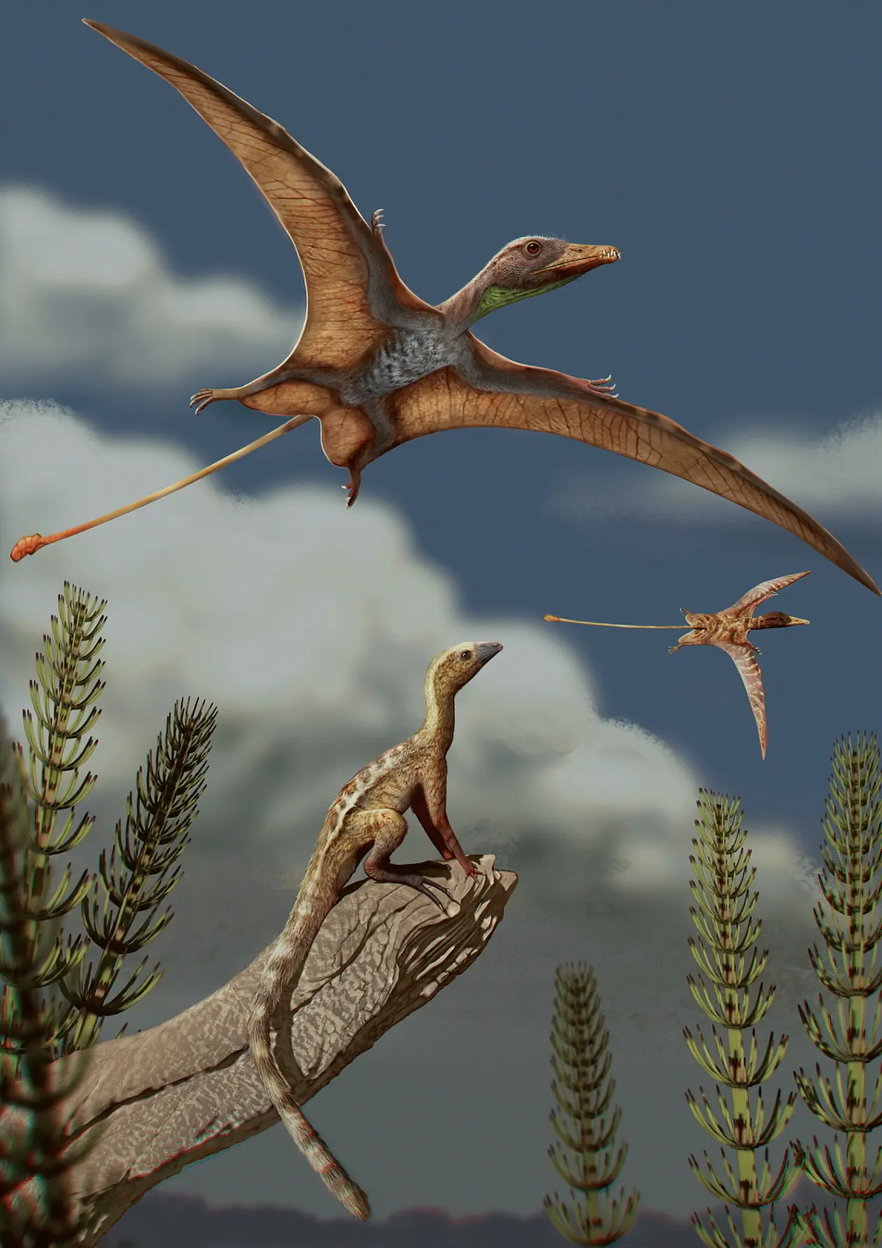 Reconstruction of a late Triassic landscape approximately 215 million years ago: a lagerpetid, a close relative of the pterosaurs, sits on a rock and watches the pterosaurs flying above it. 