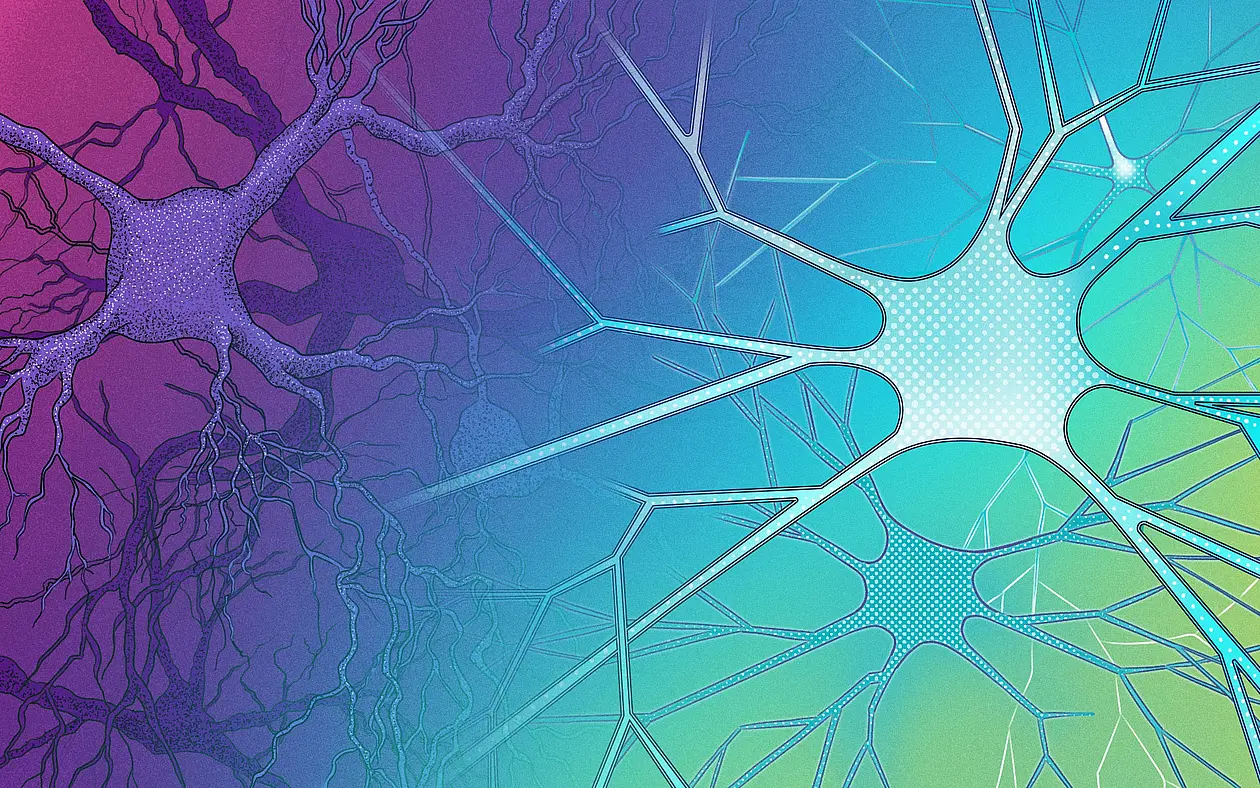 Illustration that show cases artifiicial neural networks (right) and real networks of nerve cells (left)