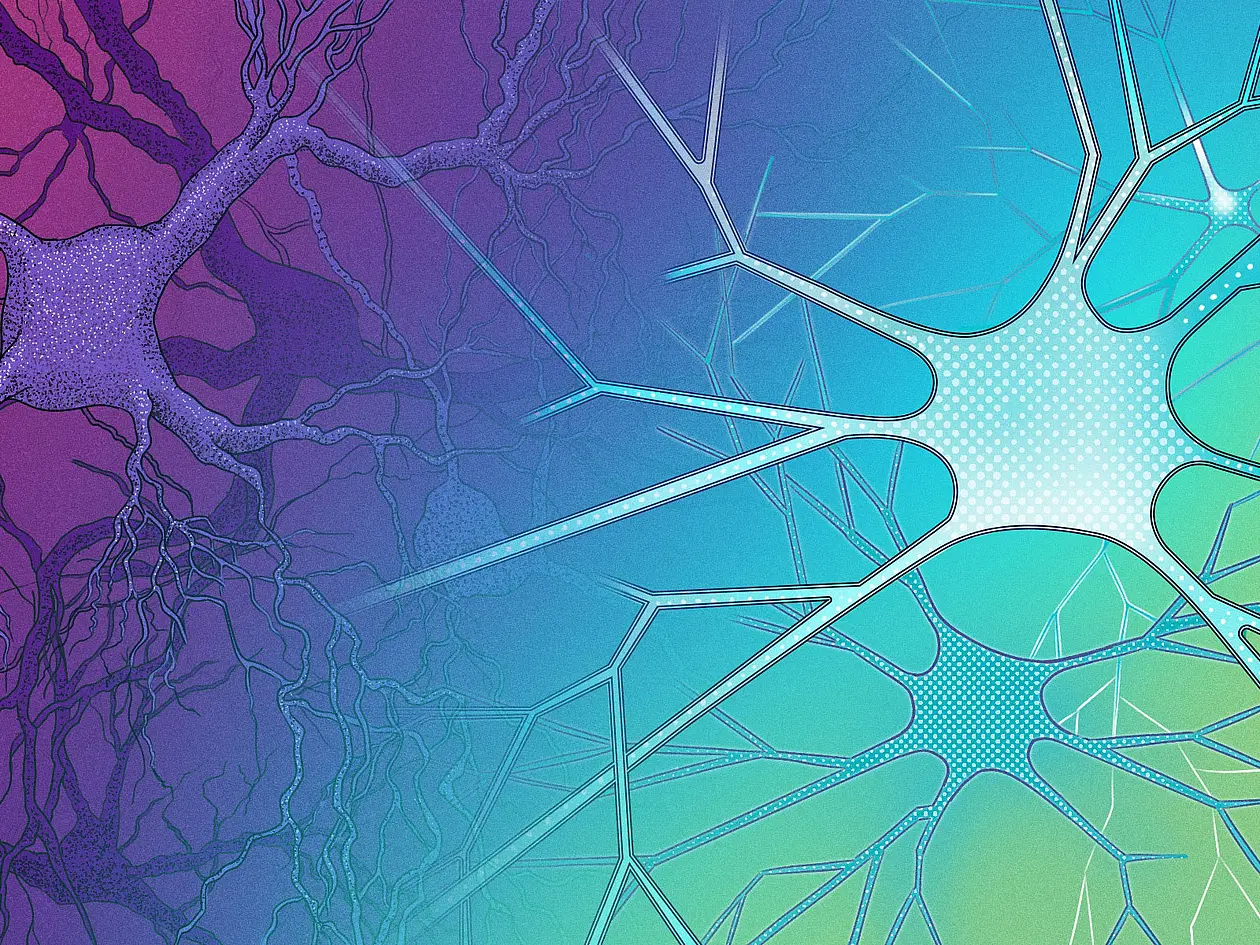 Illustration, die rechts künstliche neuronale Netze und links echte Netzwerke aus Nervenzellen abbilden