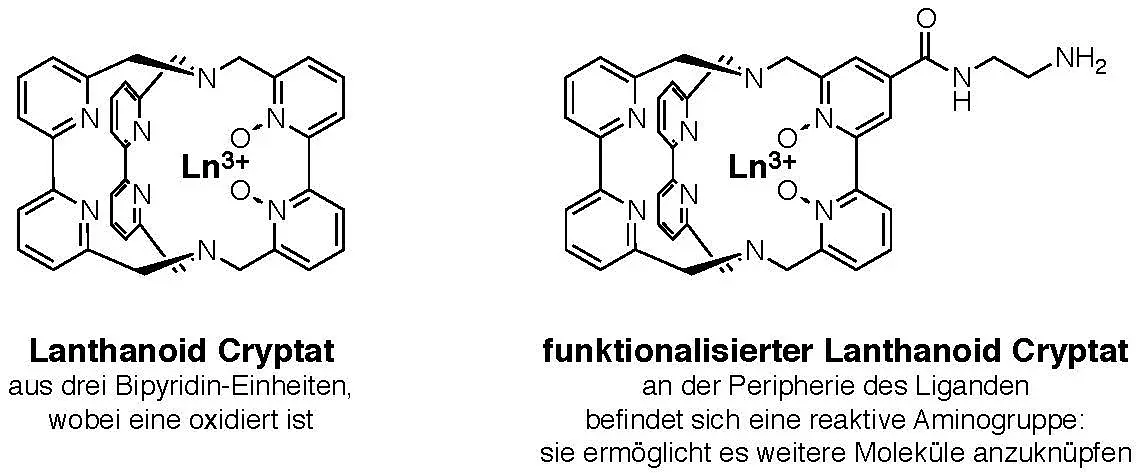 Lathanoid Cryptat mit (rechts) und ohne Funktionserweiterung