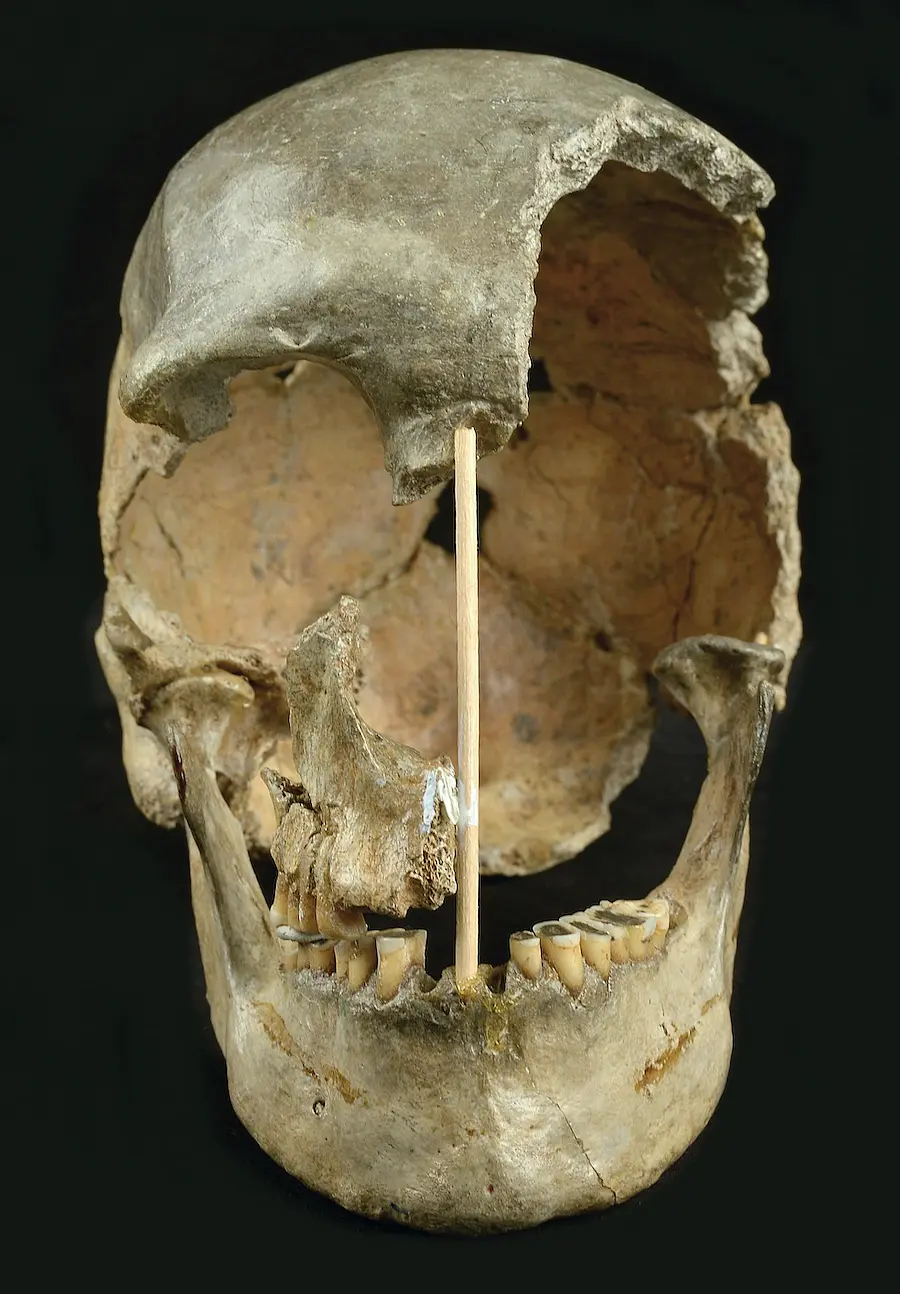 Initial attempts to date Zlatý kůň based on the shape of her skull suggested she was at least 30,000 years old