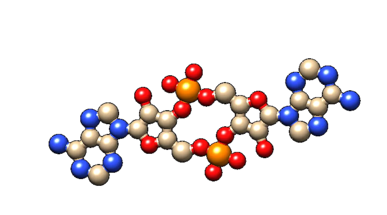Der chemische Botenstoff c-di-AMP