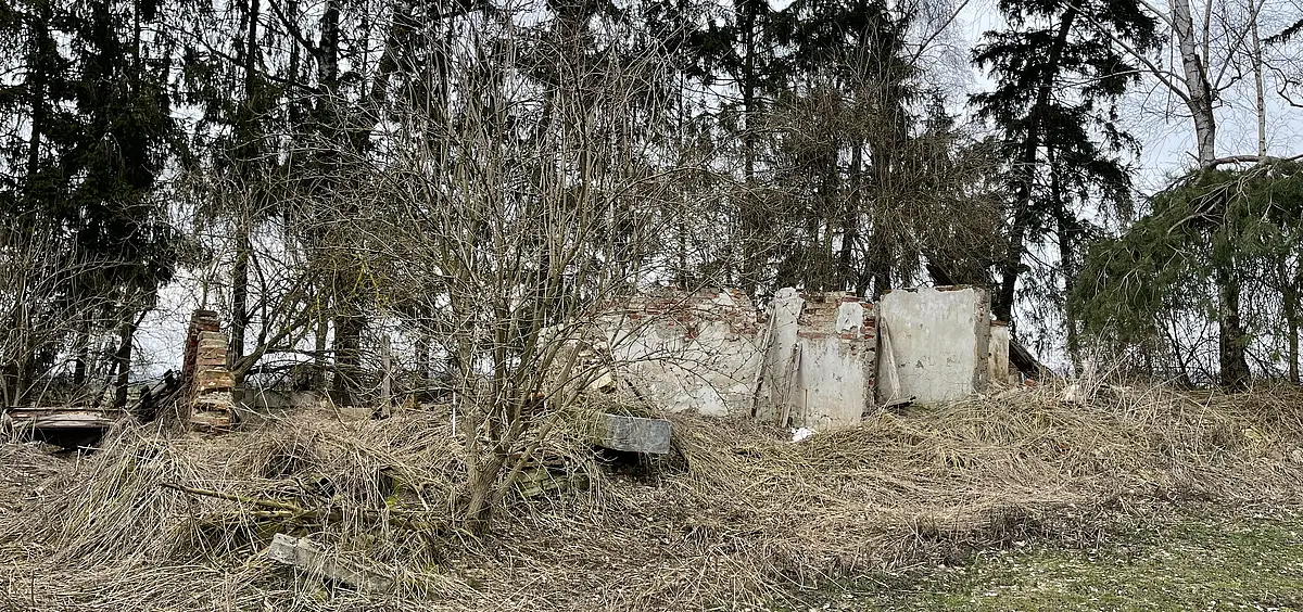 Ruine eines der ältesten Gehöfte im Donaumoos (Foto N. Mehler).