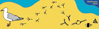 Logo of the online conference Birdtracks 2025: Paiting of a beach with birdtrack diagrams that evolve into actual birdtacks of seagull, wich is also shown.