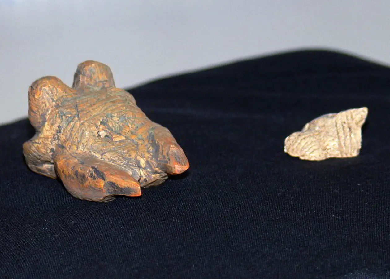 Die Venus vom Hohle Fels gilt als älteste menschliche Darstellung. Foto: Mareike Manzke/Universität Tübingen.
