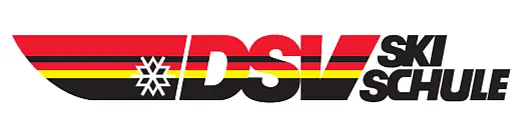 DSV Logo