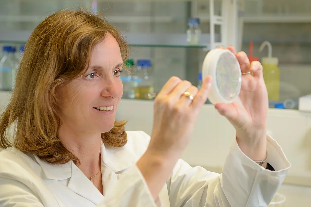 Prof. Dr. Marja Timmermans. Foto: Gunther Willinger