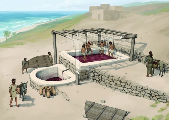  Archaeological reconstruction of the wine press.