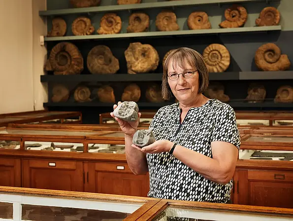 Professor Madelaine Böhme with 3D prints of the Buronius and Danuvius molars: Böhme has discov-ered two previously unknown species of extinct great apes at the Hammerschmiede excavation site.
