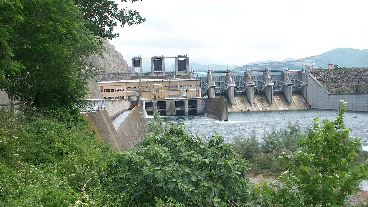Dams are a frequent element in water transfer mega-projects and can inflict sustained damage on surrounding ecosystems.