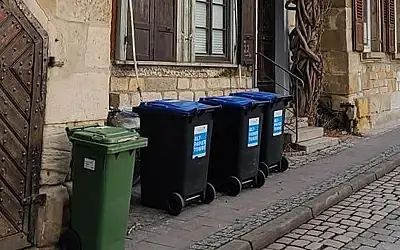 Different trash bins positioned next to the street.