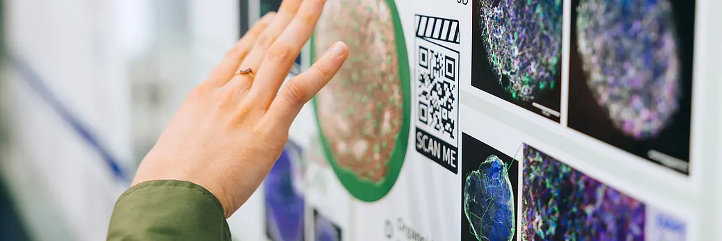 Nahaufnahme einer Hand, die auf ein Forschungsplakat zeigt
