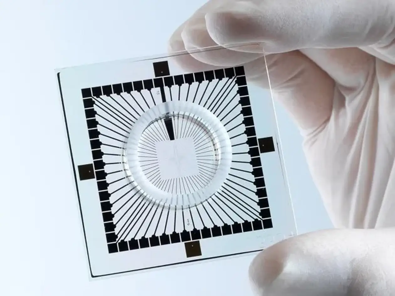 Dieser Mikrochip kann über 60 Elektroden die Entladung von Zellen messen. 