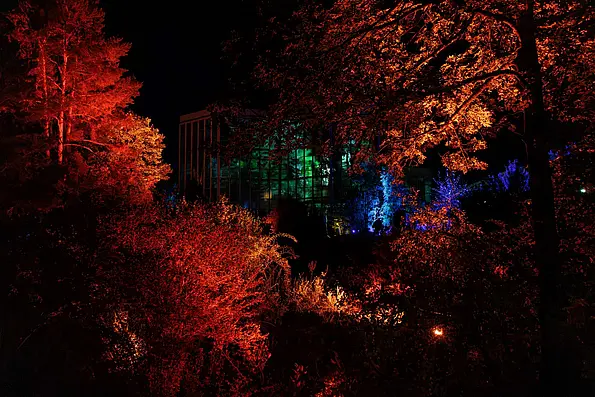 Botanische Lichter im Botanischen Garten der Universität Tübingen