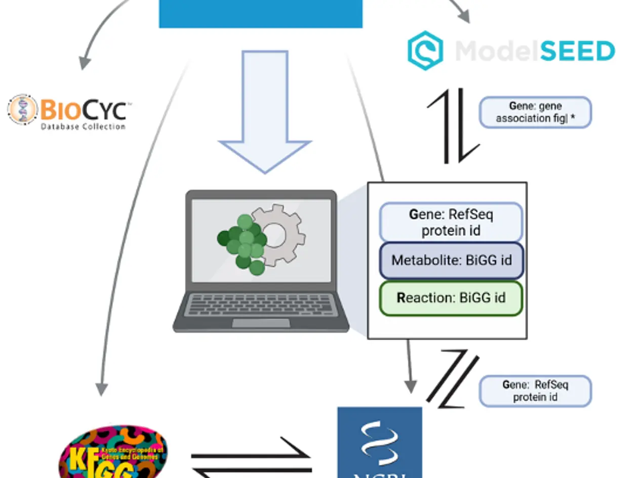 Rekonstruktion von Staphylococcus epidermidis