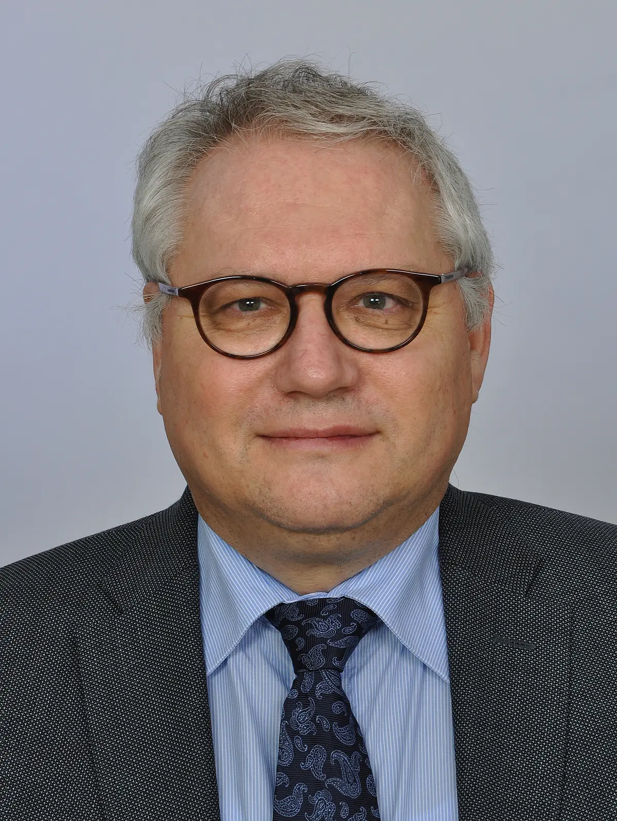 Prof. Dr. Ingo Drescher
