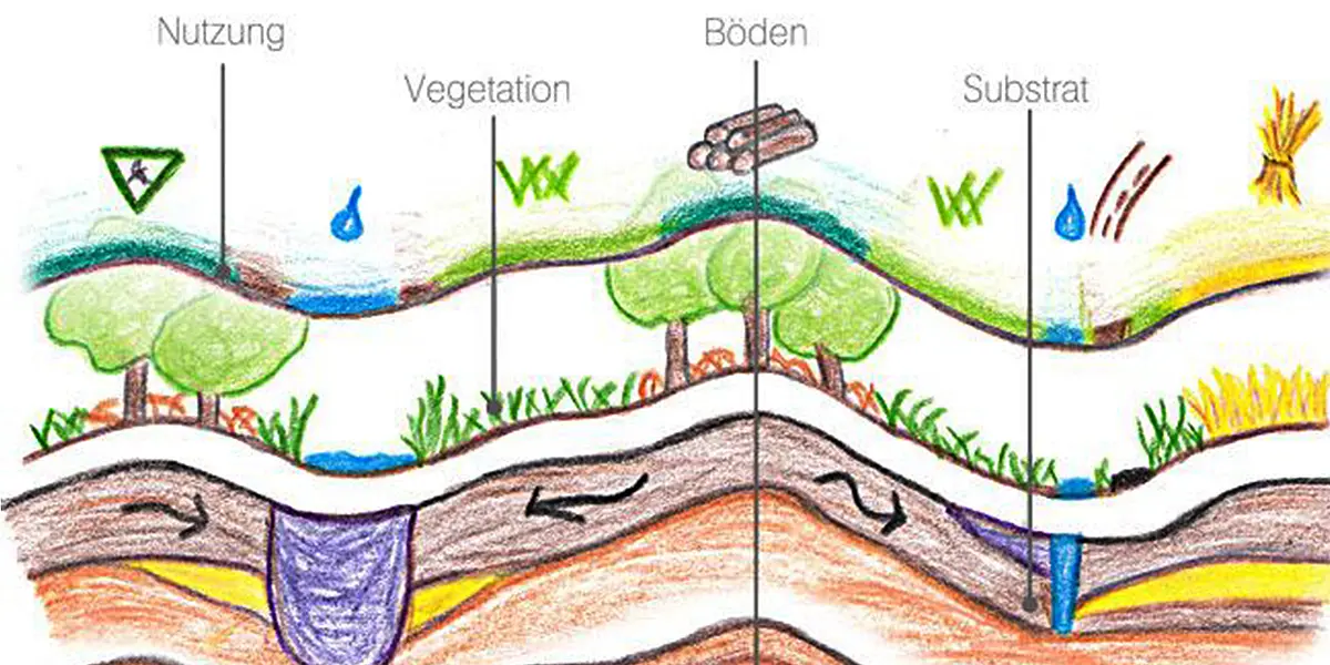 Die geographischen Schichten Nutzung, Vegetation, Substrat und Böden.