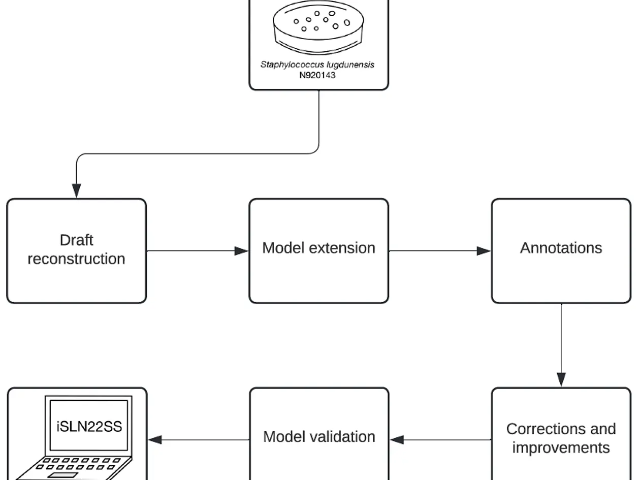 Arbeitsplan zur Erstellung des Modells iSLN22SS