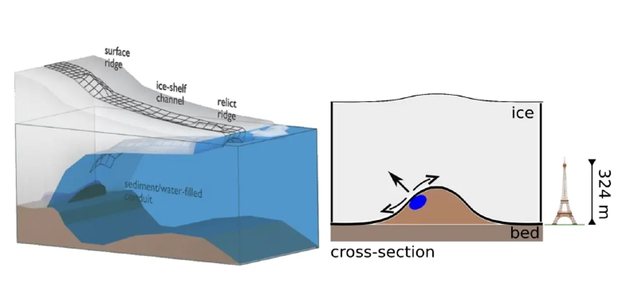 Die schematische Zeichnung (links) zeigt den Übergang vom gegründeten Eis zu den schwimmenden Schelfeisen. An der Grenzfläche zum Ozean bilden sich Geländerücken (Esker) aus Sand und Kies, die das Eis von unten einkerben und Kanäle (mit dünnem Eis) in den Schelfeisen verursachen. Die Esker entwickeln sich über Jahrtausende durch kontinuierliche Sedimentablagerungen in wassergefüllten Tunneln unter dem gegründetem Eis (rechts). Der Eiffelturm dient als Höhenvergleich mit den neu entdeckten Eskern in der Antarktis. Abbildungen: Reinhard Drews/Sebastian Mutz.
