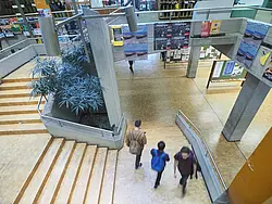 Das Treppenhaus zum 1. Stock, wo sich unter anderem die Fachbibliothek befindet.