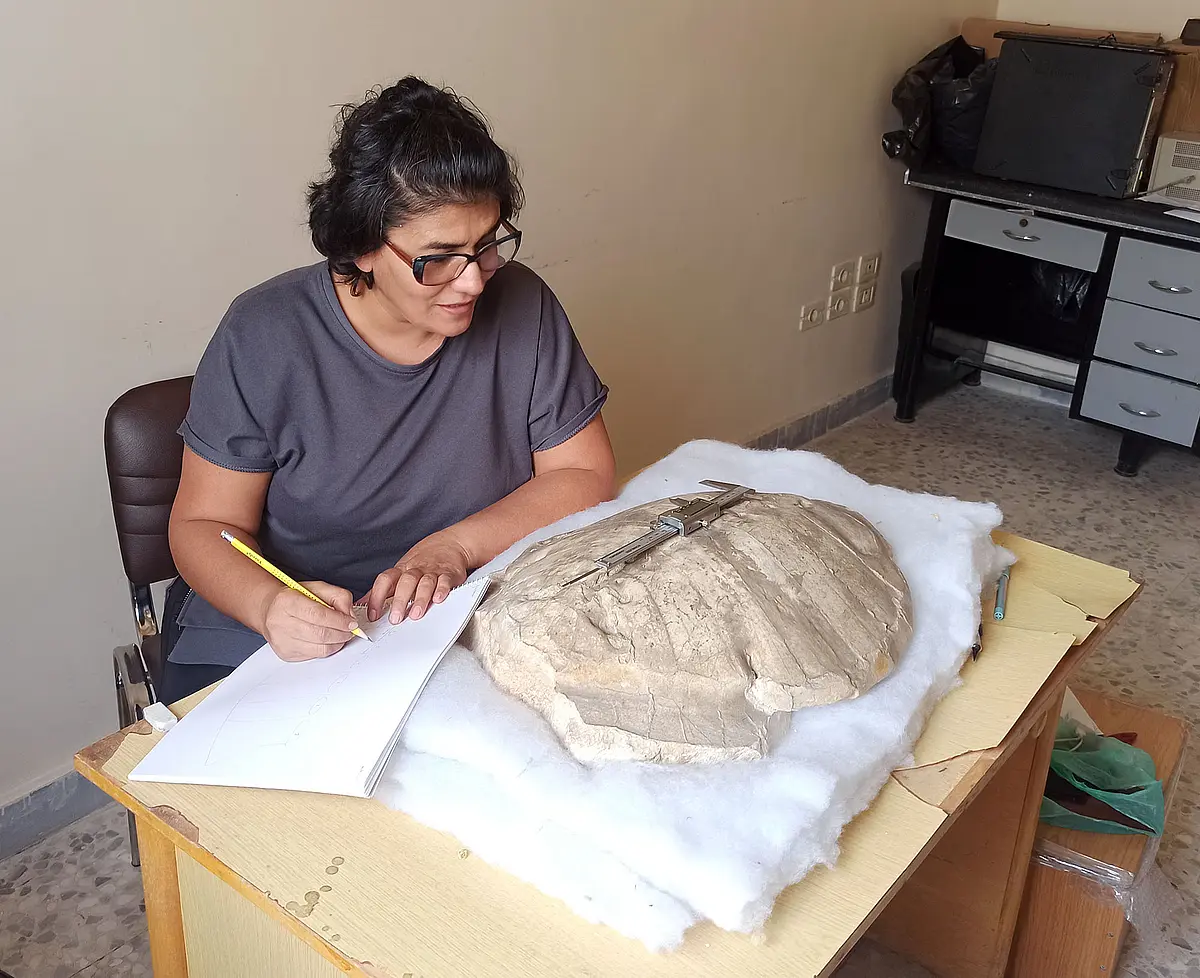 Wafa Adel Alhalabi examines the new turtle species. 