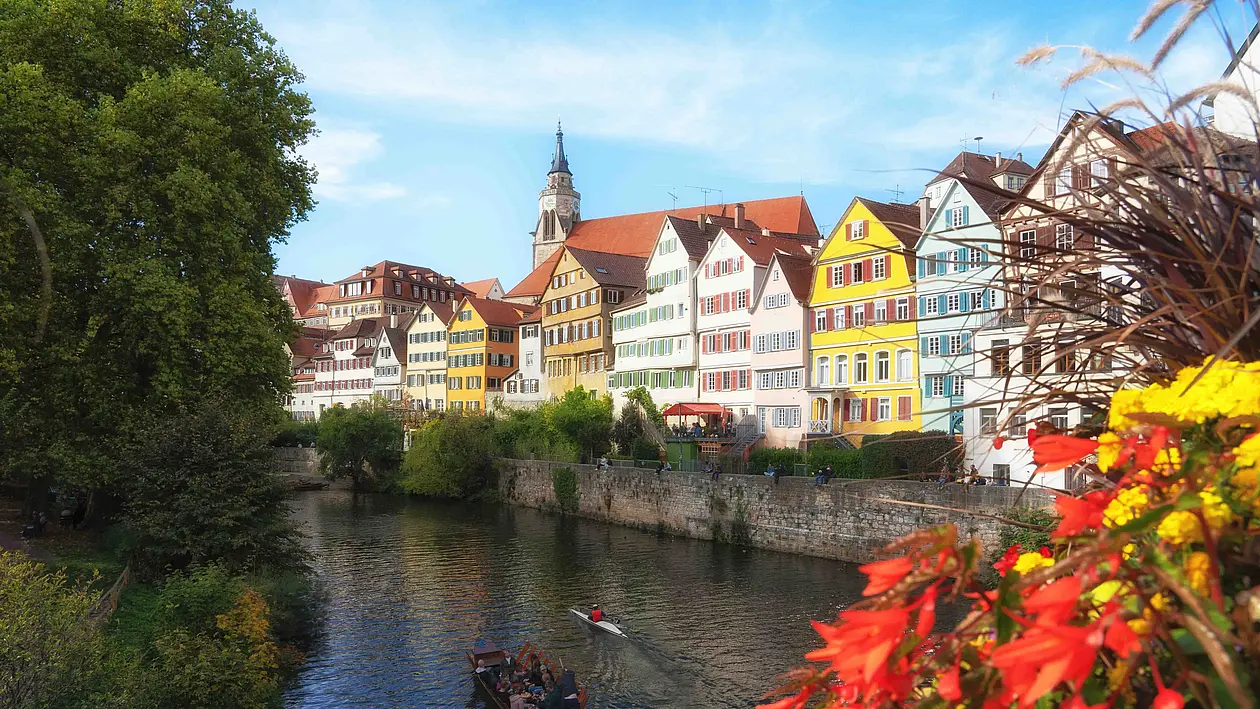 Tübinger Neckarfront: Fluss, alte Fachwerkhäuser, im Vordergrund Blumen