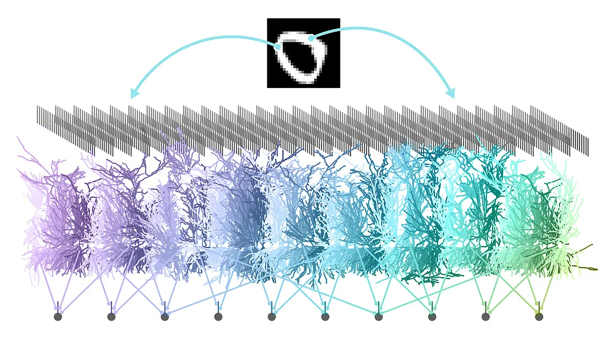 Brain simulation in Jaxley