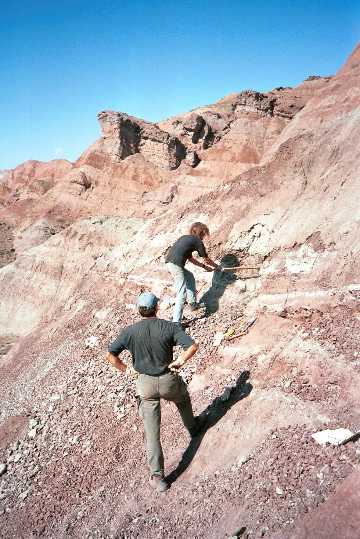 Excavations in the Junggar Basin in northwestern China in 2001: The dinosaur bone with toothmarks was found here.