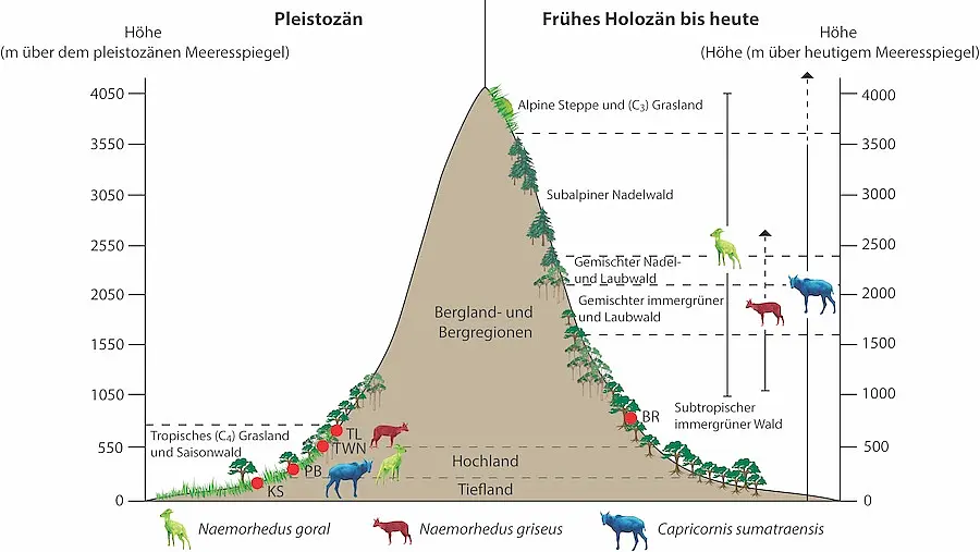 Vergleich Vorkommen pleistozäne und heutige Populationen