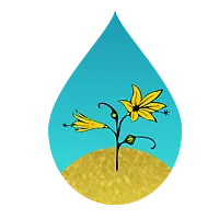 Blühende Blume in Tropfenform