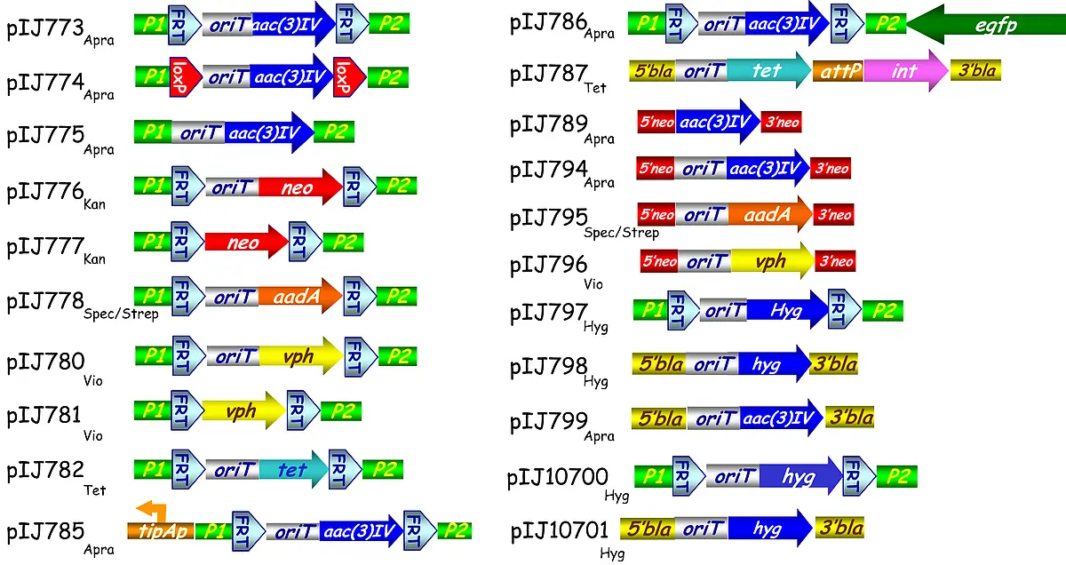 cassettes for Red/ET-mediated recombination