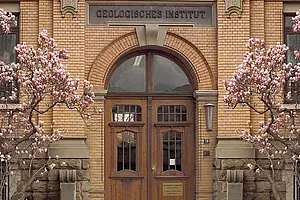 Eingang des Institutes für Geowissenschaften mit blühenden Magnolienbäumen. Foto: Wolfgang Gerber, IfG.