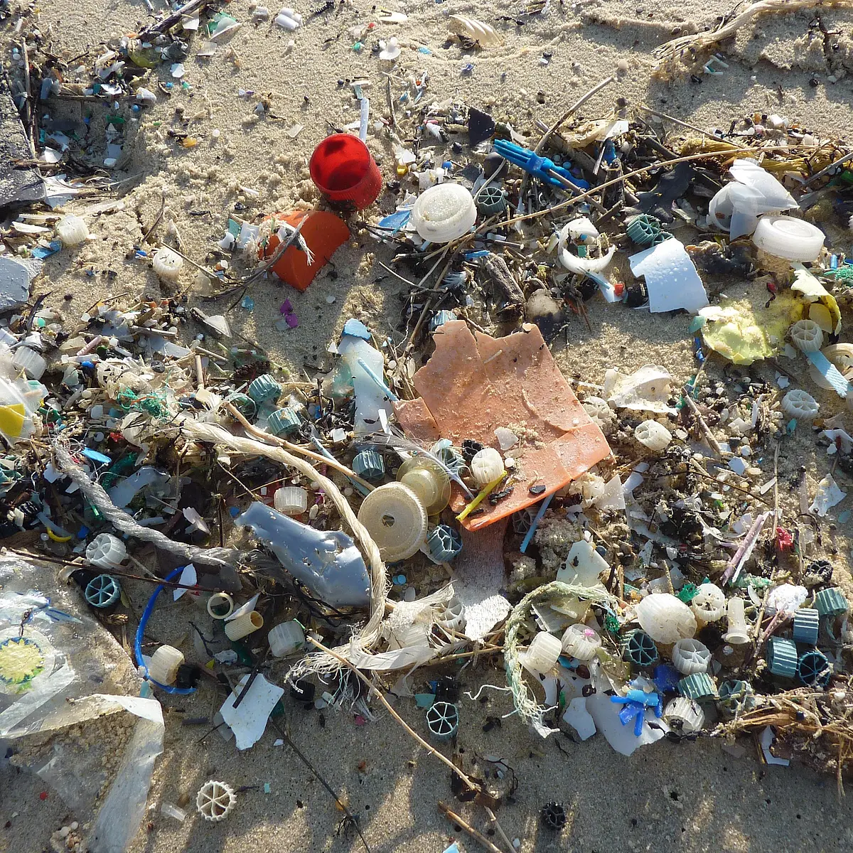 plastic pollution
