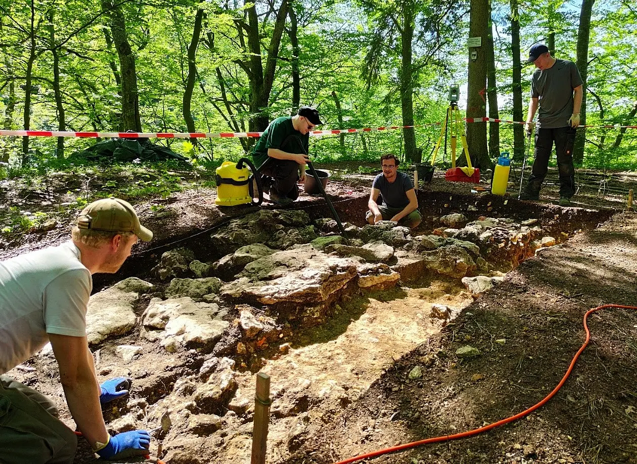Studierende bei Ausgrabungen in einem Wald