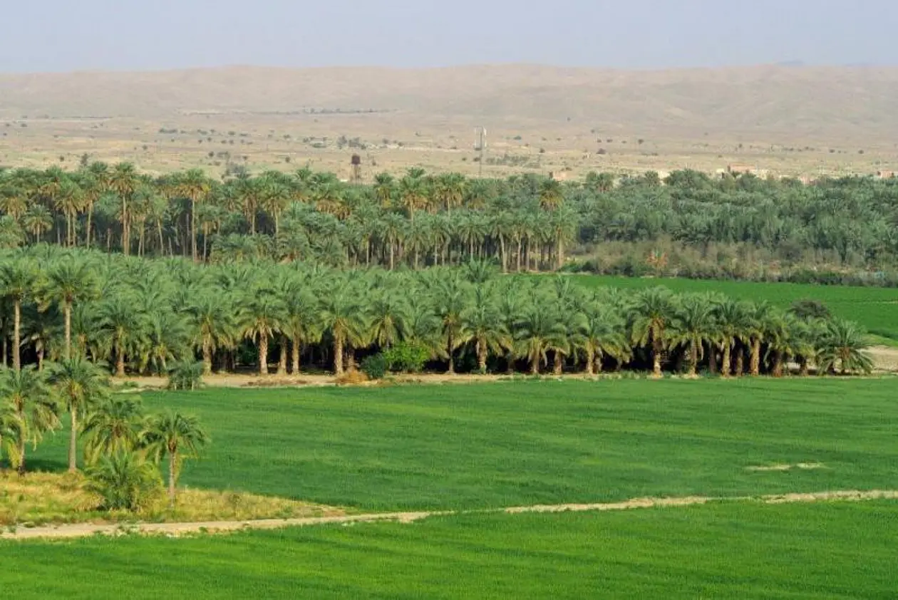 Die Ebene von Jiroft – fruchtbare Oase einer frühen Hochkultur im Iran. Foto: Prof. Dr. Peter Pfälzner