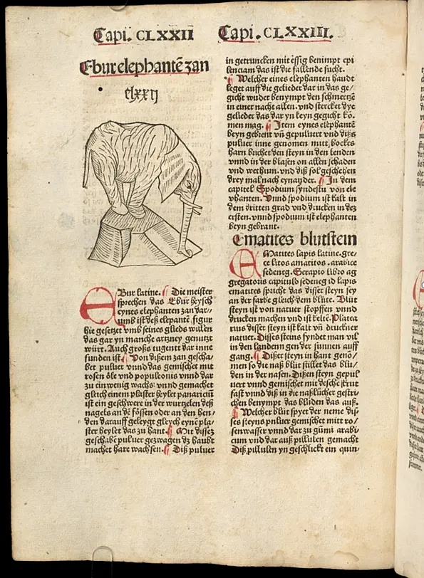 Elefant Johannes de Cuba: Gart der Gesundheit, Druck: Straßburg, Johann Grüninger 1485, fol. 89v