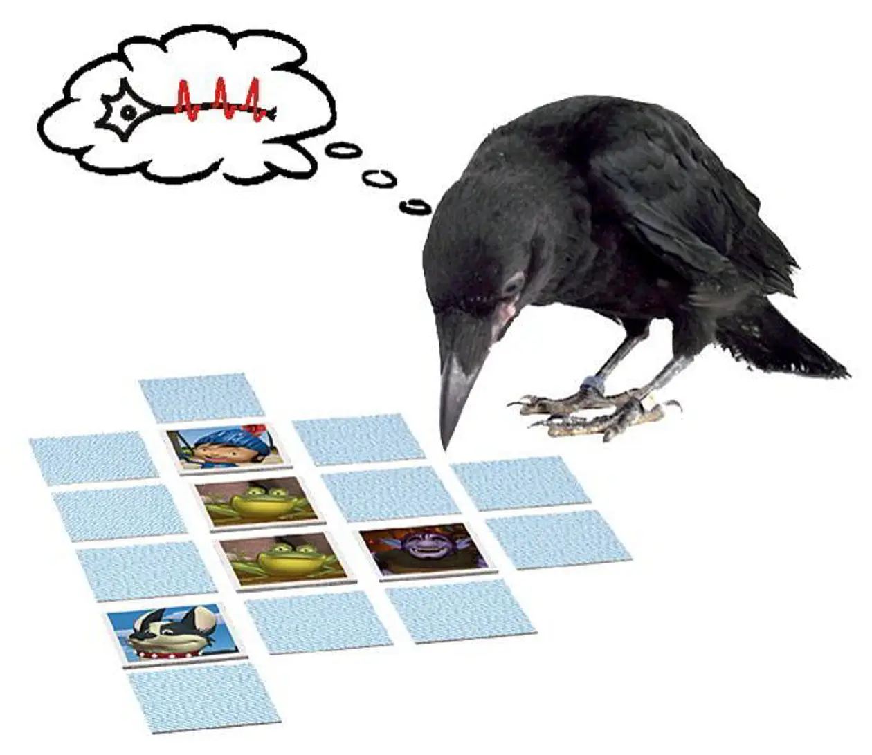 Bei Krähen, die eine Art „Memory“ spielten, sind Gedächtniszellen während der Erinnerungsphase aktiv und halten dadurch die Information über das passende Bild im Arbeitsspeicher, bis die Krähe schließlich die richtige Auswahl treffen kann. Abbildung: LS Tierphysiologie