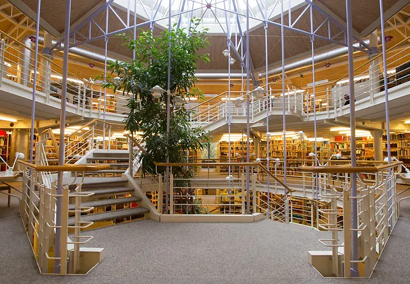 Die Bibliothek ist hell gestaltet und daher bei Studierenden sehr beliebt.