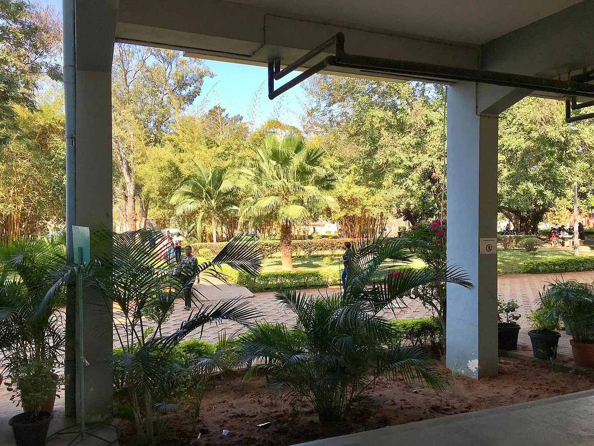 Blick in eine Gartenanlage mit Palmen