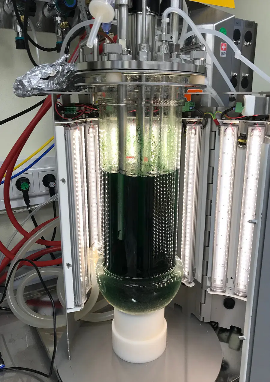Photobioreactor