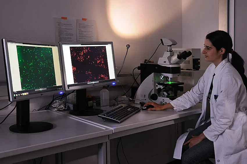 fluorescent microscopy